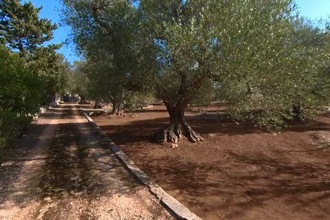 Landejendom i Ostuni, Brindisi, Ostuni - € 87.000 | Ref: 149 - foto 9